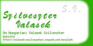 szilveszter valasek business card